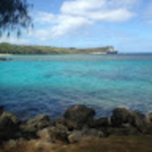 Meet your Posher, Abbie